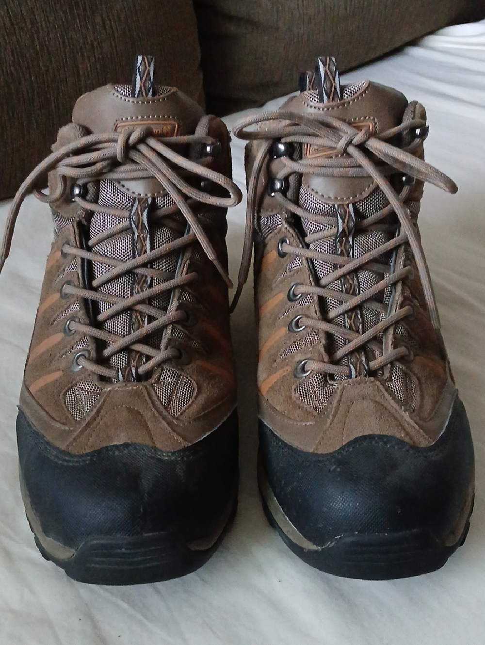 Coleman Excursion Series Hiking Boots